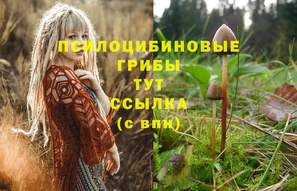 jwh Магадан