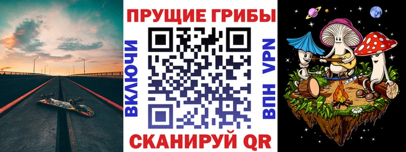 Купить  Бирюсинск  Галлюциногенные грибы Psilocybe 